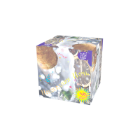 Новогодняя ночь Салют купить в Архангельске | arhangelsk.salutsklad.ru