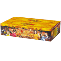 Красота с гарантией Фейерверк купить в Архангельске | arhangelsk.salutsklad.ru