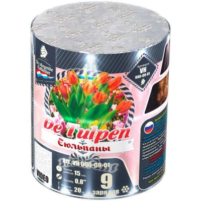 Тюльпаны Батарея салютов купить в Архангельске | arhangelsk.salutsklad.ru