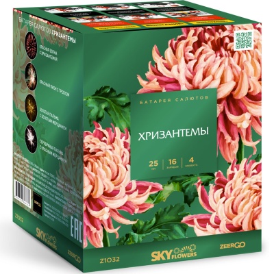 Хризантемы Фейерверк купить в Архангельске | arhangelsk.salutsklad.ru