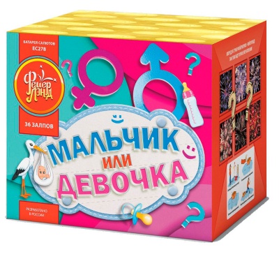 Мальчик или девочка М Фейерверк купить в Архангельске | arhangelsk.salutsklad.ru